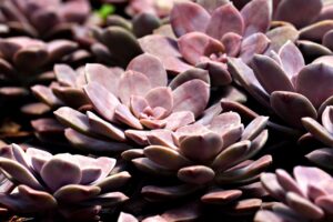 エイジングケアの使い方と注意点はこれで決まり？